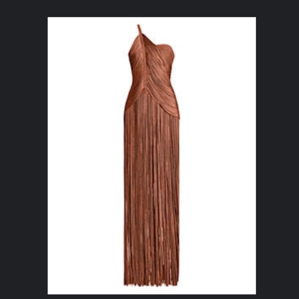 Herve Leger One Shoulder Fringe Gown
